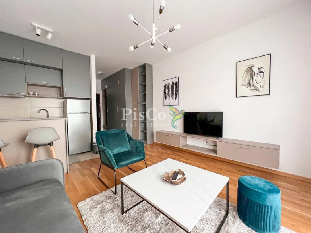 Izdavanje, garsonjera, 31m², Ljubović, Podgorica