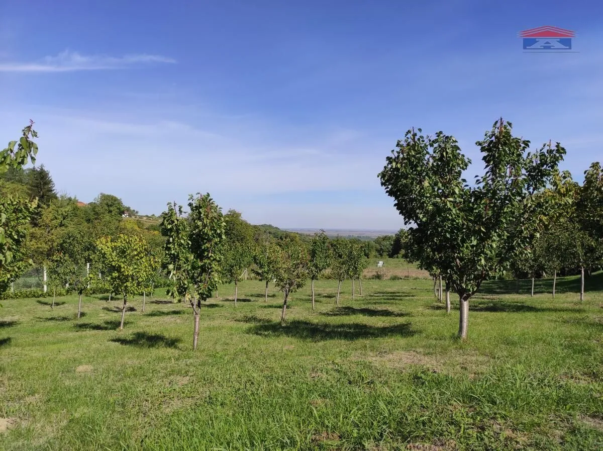Prodaja, kuća, 59m², Inđija, Srbija
