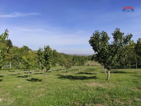 Prodaja, kuća, 59m², Inđija, Srbija - image 15