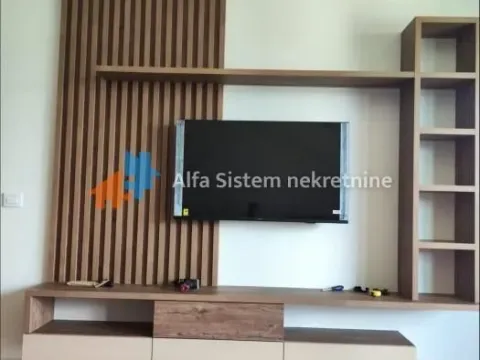 Izdavanje, dvosoban stan, 55m², Savski Venac, Beograd - image 4