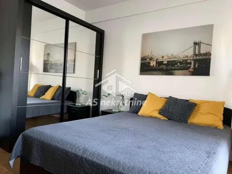 Izdavanje, dvosoban stan, 52m², Južni Bulevar, Vračar Sve Podlokacije - image 6