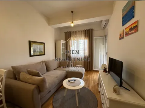 Izdavanje, jednosoban stan, 37m², Ljubović, Podgorica - image 11