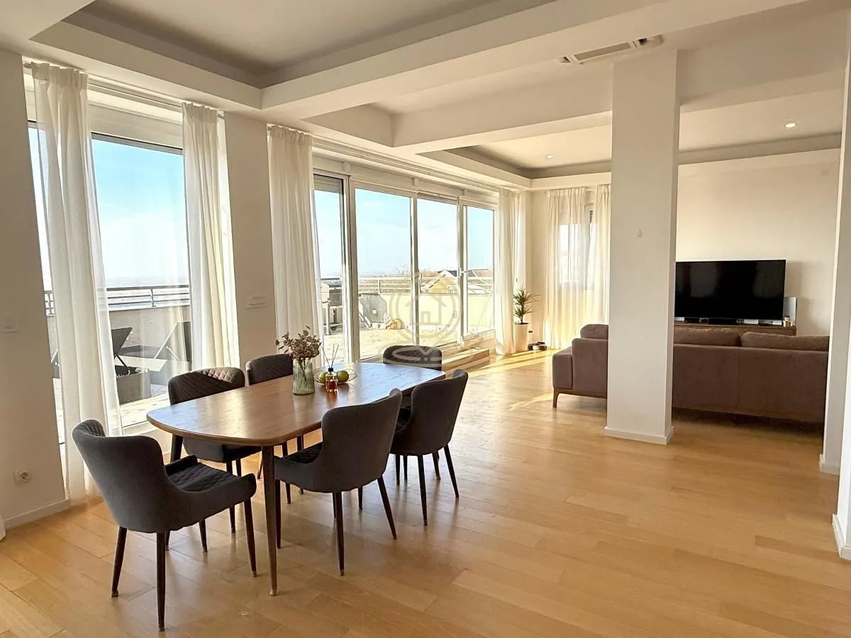 Rent, three bedroom apartment, 156m², Višnjička Banja, Palilula Sve Podlokacije