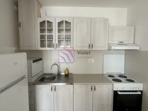 Rent, one bedroom apartment, 41m², Zabjelo, Podgorica - image 10
