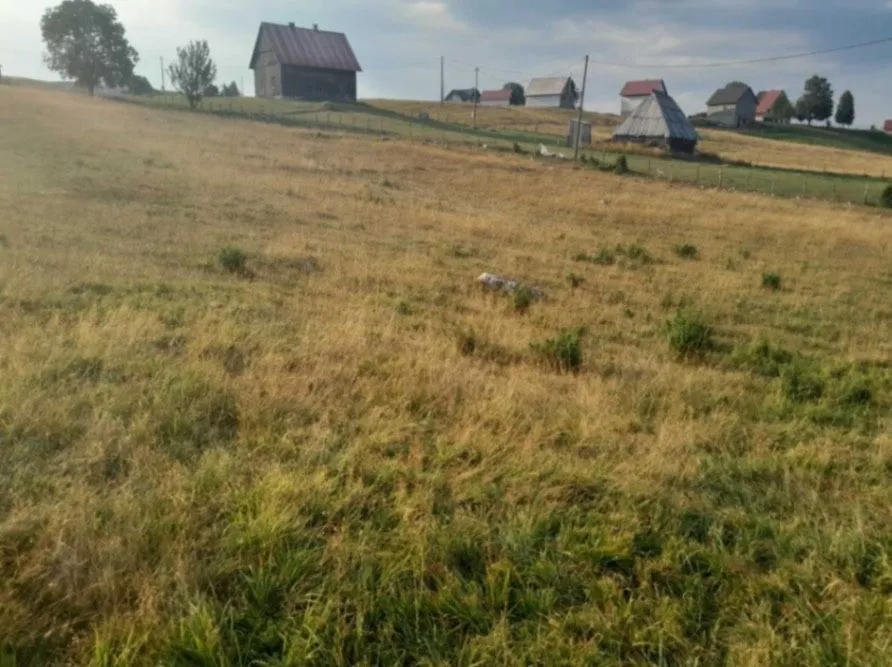 Prodaja, plac, 37000m², Kovačka Dolina, Žabljak