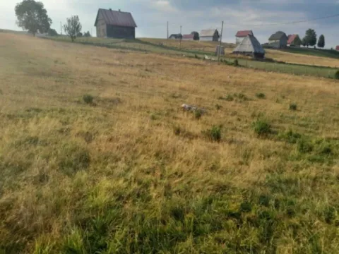 Prodaja, plac, 37000m², Kovačka Dolina, Žabljak - image 5