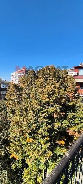 Prodaja, stan, 195m², Kalenić Pijaca, Vračar Sve Podlokacije