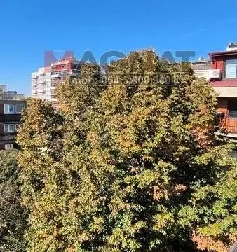 Prodaja, stan, 195m², Kalenić Pijaca, Vračar Sve Podlokacije - image 3