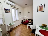 Izdavanje, jednosoban stan, 24m², Vračar Centar, Vračar Sve Podlokacije - image 16