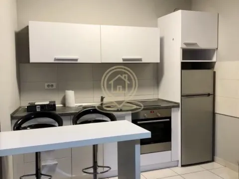 Rent, one bedroom apartment, 30m², Grbavica, Novi Sad Sve Podlokacije - image 5