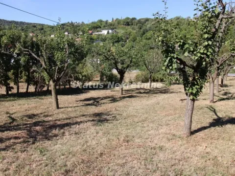 Prodaja, kuća, 198m², Sremska Kamenica, Petrovaradin - image 19
