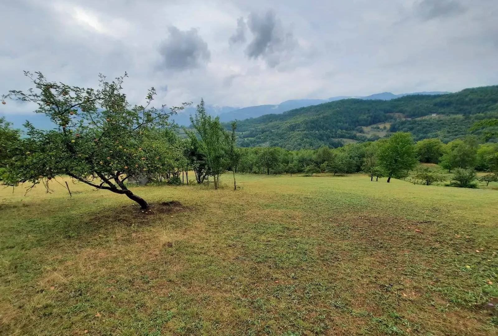 Prodaja, plac, 75m², Bijelo Polje, Crna Gora