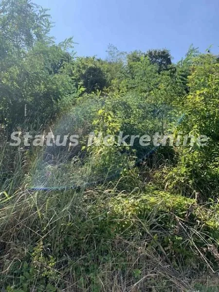 Prodaja, plac, 1673m², Sremska Kamenica, Petrovaradin