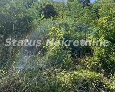 Prodaja, plac, 1673m², Sremska Kamenica, Petrovaradin - image 11