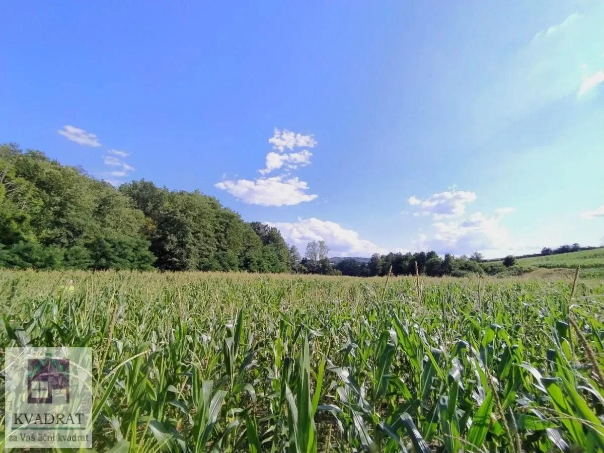 Prodaja, plac, 45000m², Kršna glava, Ub