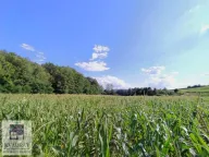 Prodaja, plac, 450m², Kršna glava, Ub - image 3