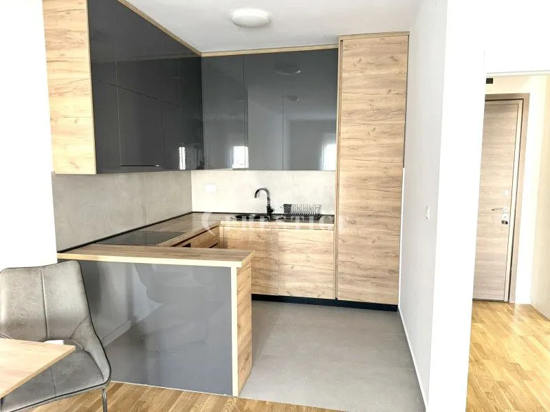 Rent, one bedroom apartment, 47m², Zabjelo, Podgorica