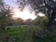 Prodaja, plac, 2171m², Kavač, Kotor - image 15