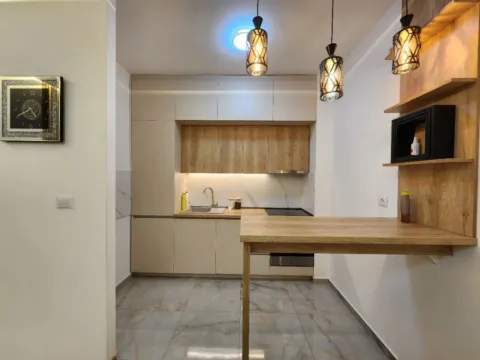 Rent, one bedroom apartment, 55m², Zagorič, Podgorica - image 2