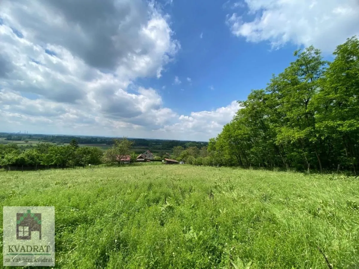 Sale, land lot, 8600m², Konatice, Obrenovac