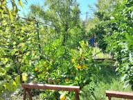 Prodaja, kuća, 68m², Šušanj, Bar - image 9