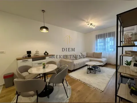 Izdavanje, jednosoban stan, 45m², Podgorica, Crna Gora - image 6