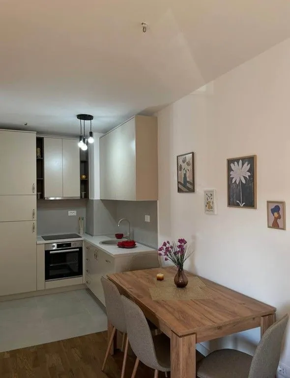 Rent, one bedroom apartment, 47m², Stari Aerodrom, Podgorica