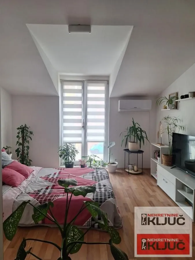 Nameštena spavaća soba sa bračnim krevetom, TV-om i sobnim biljkama.