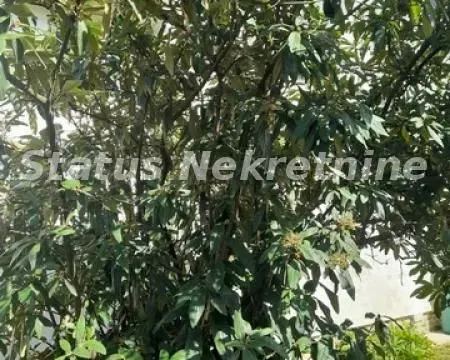 Prodaja, kuća, 155m², Inđija, Srbija - image 12