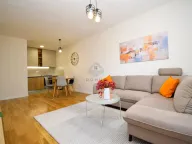 Izdavanje, jednosoban stan, 50m², Central Point, Podgorica - image 4