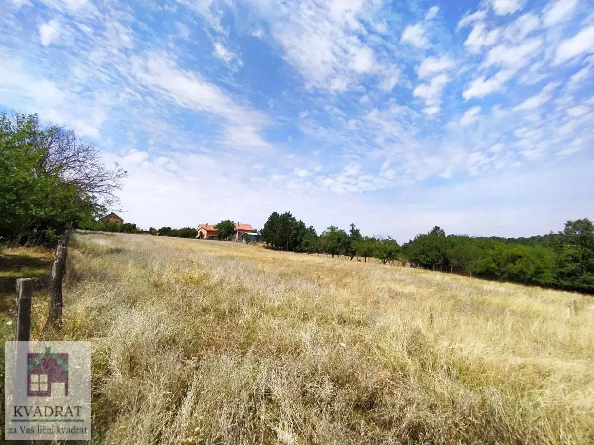 Prodaja, plac, 5000m², Arnajevo, Barajevo