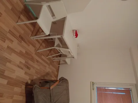 Izdavanje, jednosoban stan, 30m², Borča Sve Podlokacije, Beograd - image 6