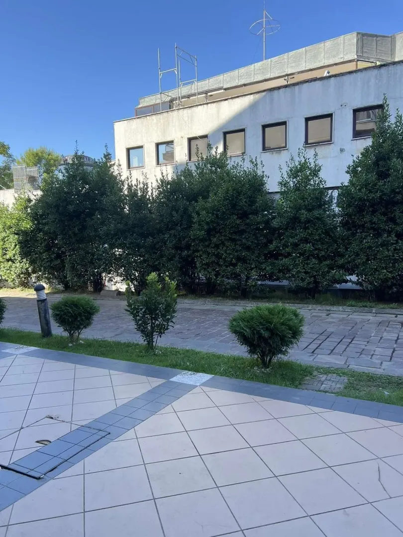 Bright building exterior with a paved yard and green bushes.
