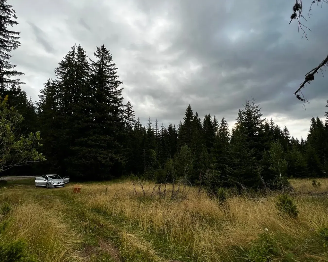 Prodaja, plac, 9000m², Žabljak, Crna Gora