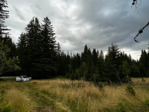 Prodaja, plac, 9000m², Žabljak, Crna Gora - image 2