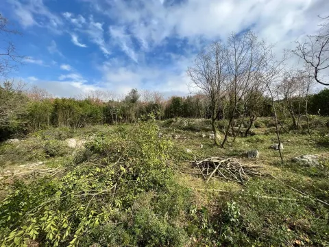 Sale, land lot, 2488m², Krimovica, Kotor - image 3