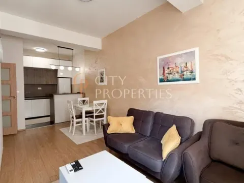 Rent, apartment, 46m², Ljubović, Podgorica - image 9