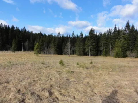 Prodaja, plac, 8600m², Tara, Srbija - image 5