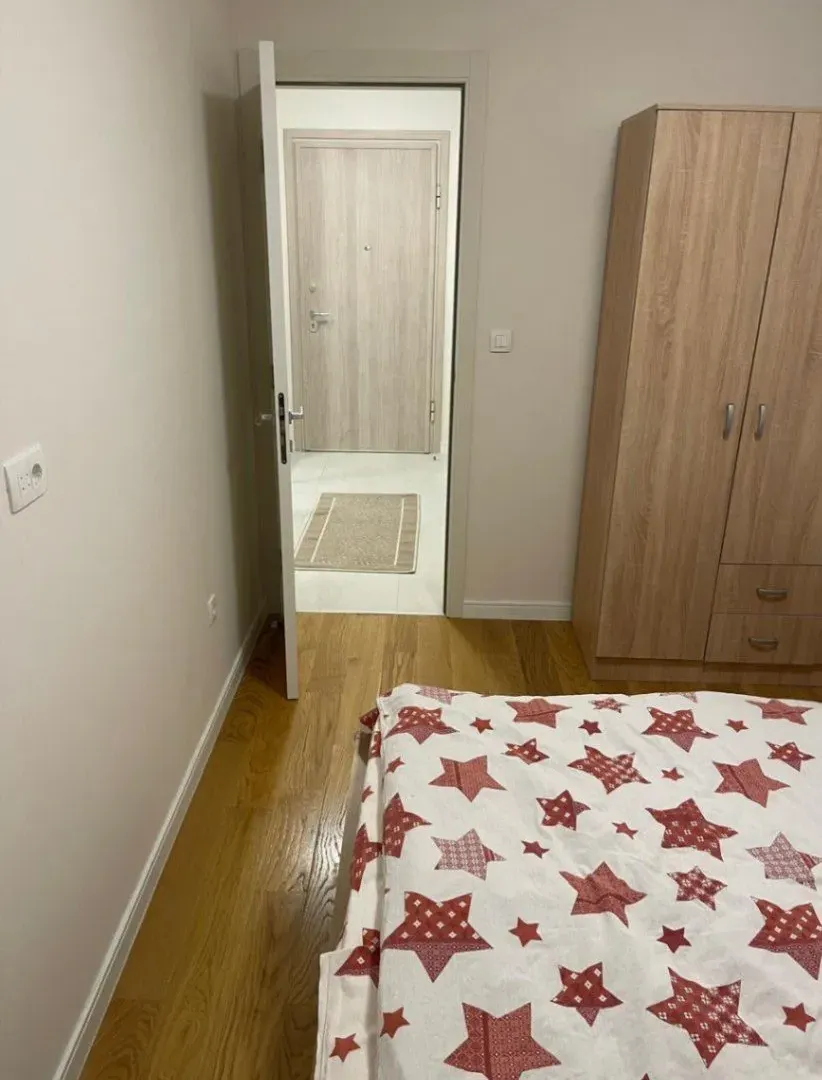 Izdavanje, jednosoban stan, 47m², Central Point, Podgorica