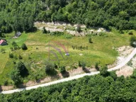 Prodaja, plac, 11000m², Kolašin, Crna Gora