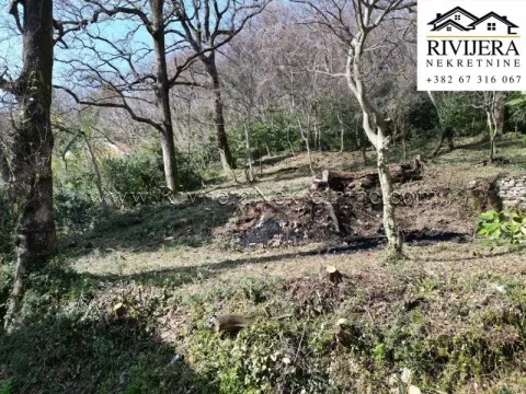 Prodaja, plac, 4032m², Zelenika, Herceg Novi - image 6