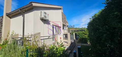 Pogled na spoljašnjost kuće sa uređenim dvorištem i terasom. - image 7