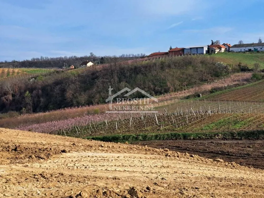 Prodaja, plac, 4966m², Brestovik, Grocka