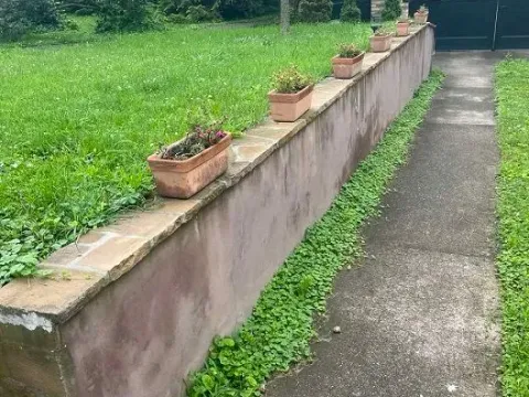 Izdavanje, kuća, 280m², Zvezdara Sve Podlokacije, Beograd - image 3