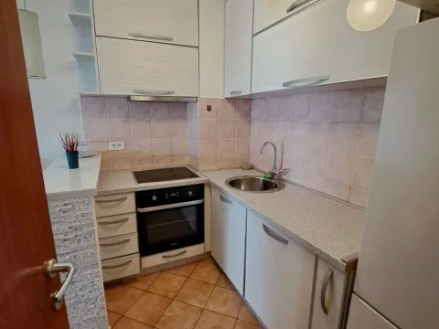 Rent, one bedroom apartment, 42m², Zabjelo, Podgorica - image 4