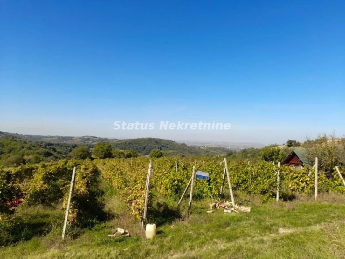 Prodaja, plac, 2900m², Ledinci, Petrovaradin