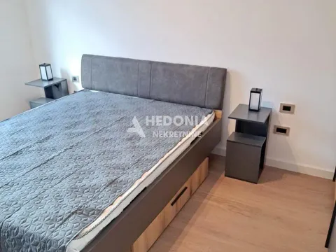 Izdavanje, jednosoban stan, 42m², Novi Beograd Blok 65, Novi Beograd Sve Podlokacije - image 4