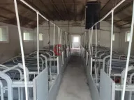 Prodaja, kuća, 228m², Kelebija, Subotica - image 17