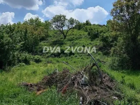 Zemljište in Čortanovci