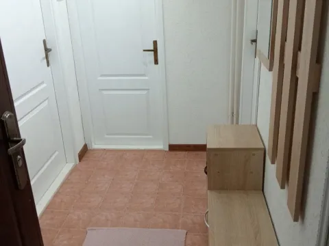 Izdavanje, dvosoban stan, 36m², Sajmište, Novi Sad - image 9